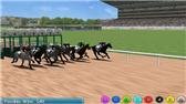 download Virtual Horse Racing 3D Pro apk